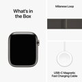 Apple Watch Series 9 GPS + Cellular 45mm Graphite Stainless Steel Case with Graphite Milanese Loop - iBite Nitra G9