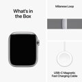 Apple Watch Series 9 GPS + Cellular 45mm Silver Stainless Steel Case with Silver Milanese Loop - iBite Nitra G9