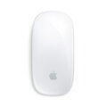 Apple Magic Mouse - iBite Nitra G1