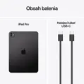 iPad Pro 11