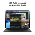 iPad Pro 11