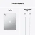 iPad Pro 11