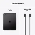 iPad Pro 13