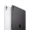 iPad Pro 13