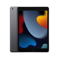 iPad 10,2" (2021) WiFi 64GB - Space Gray 