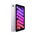iPad mini 8,3