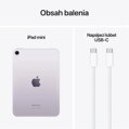 iPad mini 8,3
