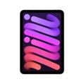 iPad mini 8,3