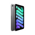 iPad mini 8,3