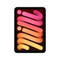 iPad mini 8,3