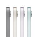 iPad mini 8,3