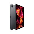 iPad Pro 11
