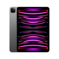 iPad Pro 11" (2022) WiFi+Cellular 128GB - Space Gray