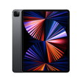 iPad Pro 12,9" (2021) WiFi+Cellular 256GB - Space Gray