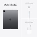 iPad Pro 12,9