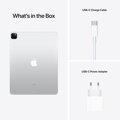 iPad Pro 12,9