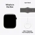 Apple Watch Series 11 GPS + Cellular 42mm Natural Titanium Case with Stone Grey Sport Band - M/L