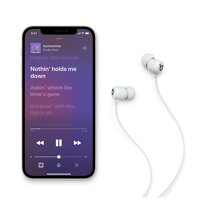 Apple Beats Flex – All-Day Wireless Earphones – Smoke Gray - iBite Nitra G2