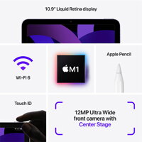 iPad Air 10,9" (2022) WiFi 64GB - Purple - iBite Nitra G4