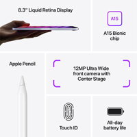 iPad mini 8,3" (2021) WiFi 256GB - Pink - iBite Nitra G6