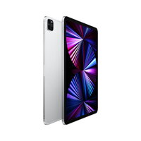 iPad Pro 11" (2021) WiFi+Cellular 128GB - Silver - iBite Nitra G1