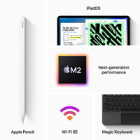 iPad Pro 11" (2022) WiFi+Cellular 2TB - Silver - iBite Nitra G5
