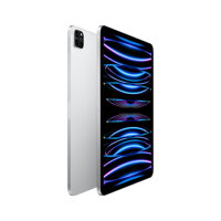 iPad Pro 11" (2022) WiFi 2TB - Silver - iBite Nitra G1