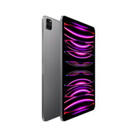 iPad Pro 11" (2022) WiFi 512GB - Space Gray - iBite Nitra G1