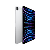 iPad Pro 12,9" (2022) WiFi 2TB - Silver - iBite Nitra G1