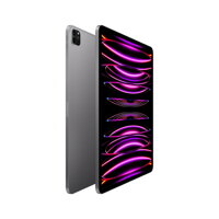 iPad Pro 12,9" (2022) WiFi 2TB - Space Gray - iBite Nitra G1