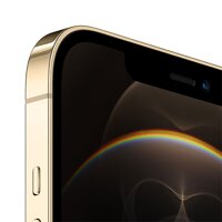 iPhone 12 Pro Max 256GB - Gold - iBite Nitra G1