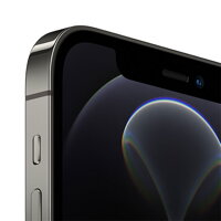 iPhone 12 Pro 256GB - Graphite - iBite Nitra G1