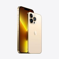 iPhone 13 Pro 128GB - Gold - iBite Nitra G1