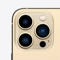 iPhone 13 Pro 256GB - Gold - iBite Nitra G2