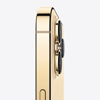 iPhone 13 Pro 1TB - Gold - iBite Nitra G3