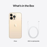 iPhone 13 Pro 1TB - Gold - iBite Nitra G8