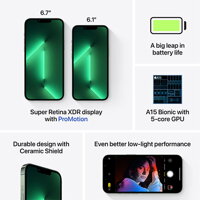 iPhone 13 Pro 256GB - Alpine Green - iBite Nitra G6
