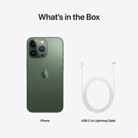 iPhone 13 Pro 1TB - Alpine Green - iBite Nitra G8