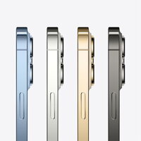 iPhone 13 Pro 1TB - Silver - iBite Nitra G4