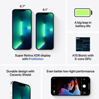 iPhone 13 Pro 1TB - Silver - iBite Nitra G6