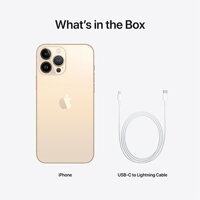 iPhone 13 Pro Max 1TB - Gold - iBite Nitra G8