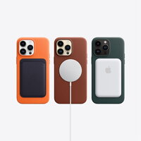 iPhone 14 Pro Max 1TB - Silver - iBite Nitra G7