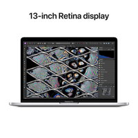 MacBook Pro 13,3" (M2 2022) Retina Display M2 8-Core CPU 10-Core GPU 8GB RAM 512GB SSD - Silver - iBite Nitra G3