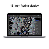 MacBook Pro 13,3" (M2 2022) Retina Display M2 8-Core CPU 10-Core GPU 8GB RAM 512GB SSD - Space Gray - iBite Nitra G3