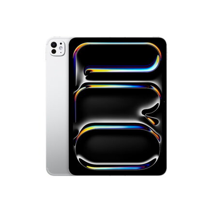 iPad Pro 11" (2024) M4 WiFi 256GB Standard Glass - Silver