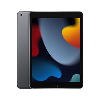 iPad 10,2" (2021) WiFi 256GB - Space Gray 