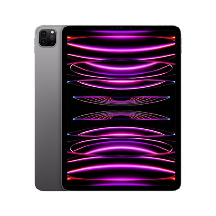 iPad Pro 11" (2022) WiFi+Cellular 256GB - Space Gray
