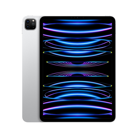 iPad Pro 11" (2022) WiFi 256GB - Silver