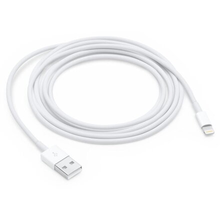 Apple Lightning to USB Cable (2m)