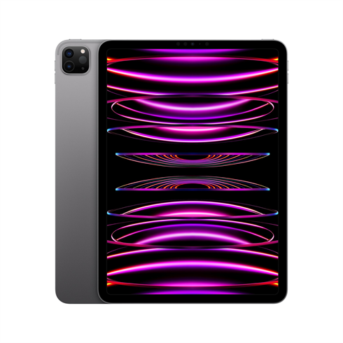iPad Pro 11" (2022) WiFi 128GB - Space Gray